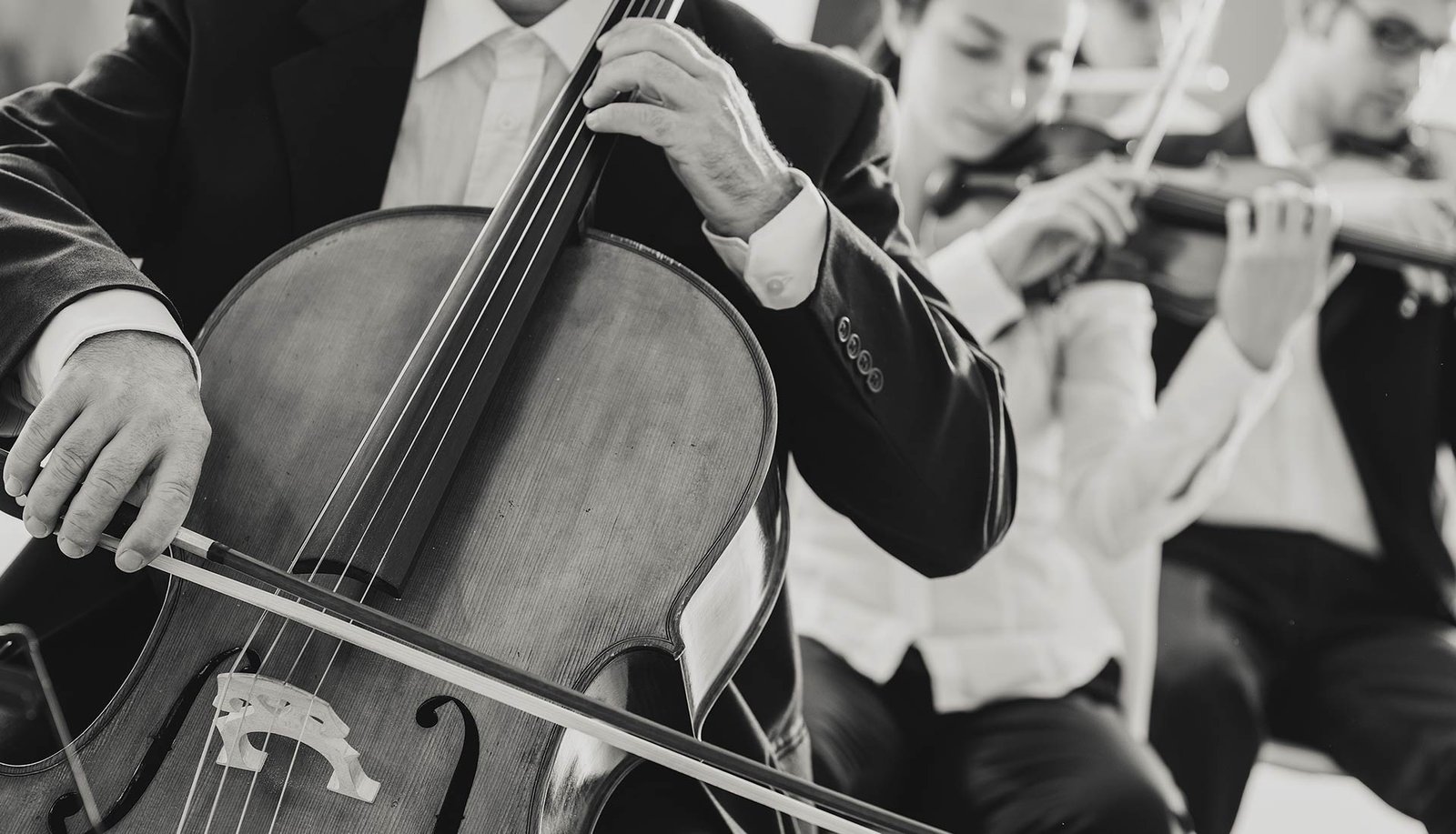 h1-rev-slide-1-img d